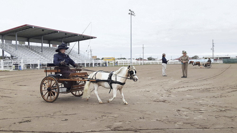 090421_CARRIAGE DRIVING 03 BLS
